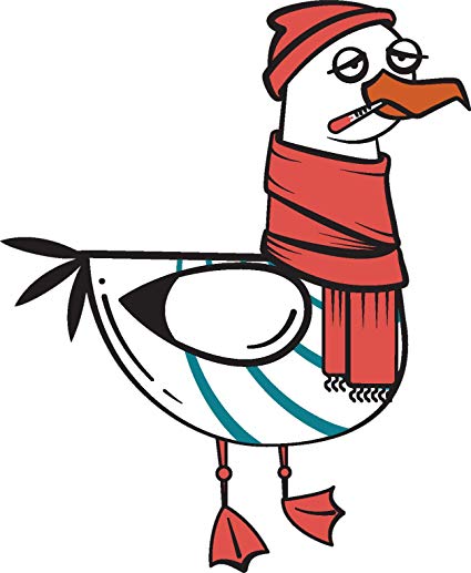 425x517 silly funny weird ocean seagull cartoon vinyl sticker - Seagull Cartoon Drawing