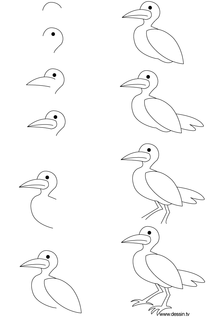 744x1052 Drawing Seagull - Seagull Drawing