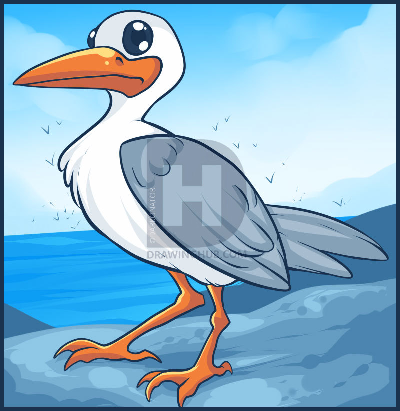 800x821 How To Draw A Seagull, Step - Seagull Drawing