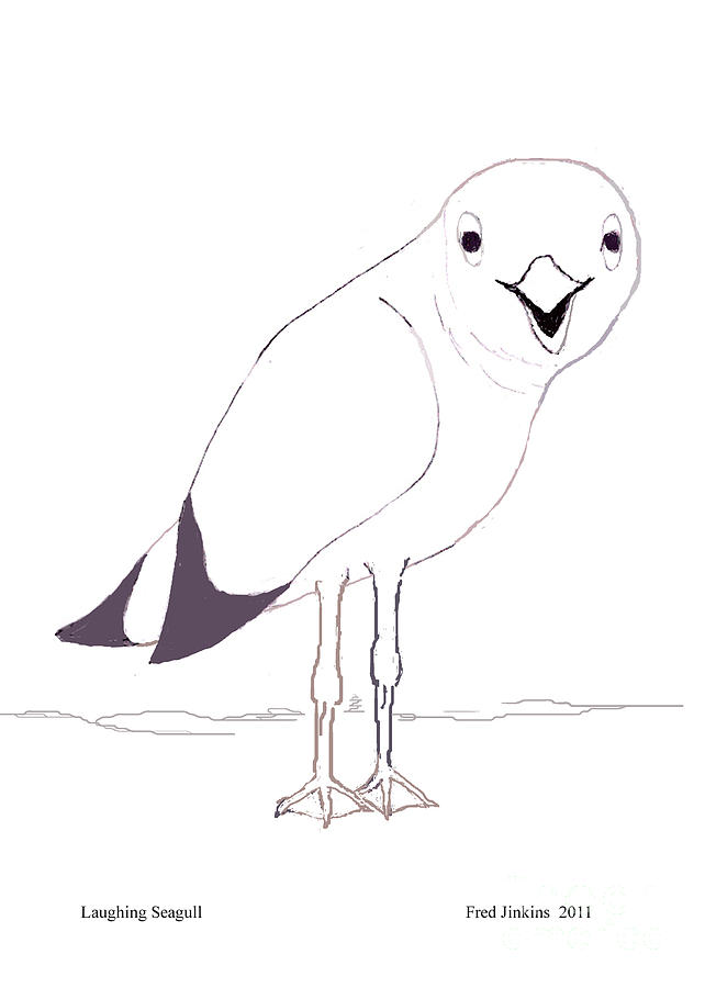 642x900 Laughing Seagull Drawing - Seagull Drawing