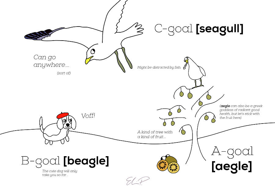 900x636 C Goal Seagull Drawing - Seagull Drawing
