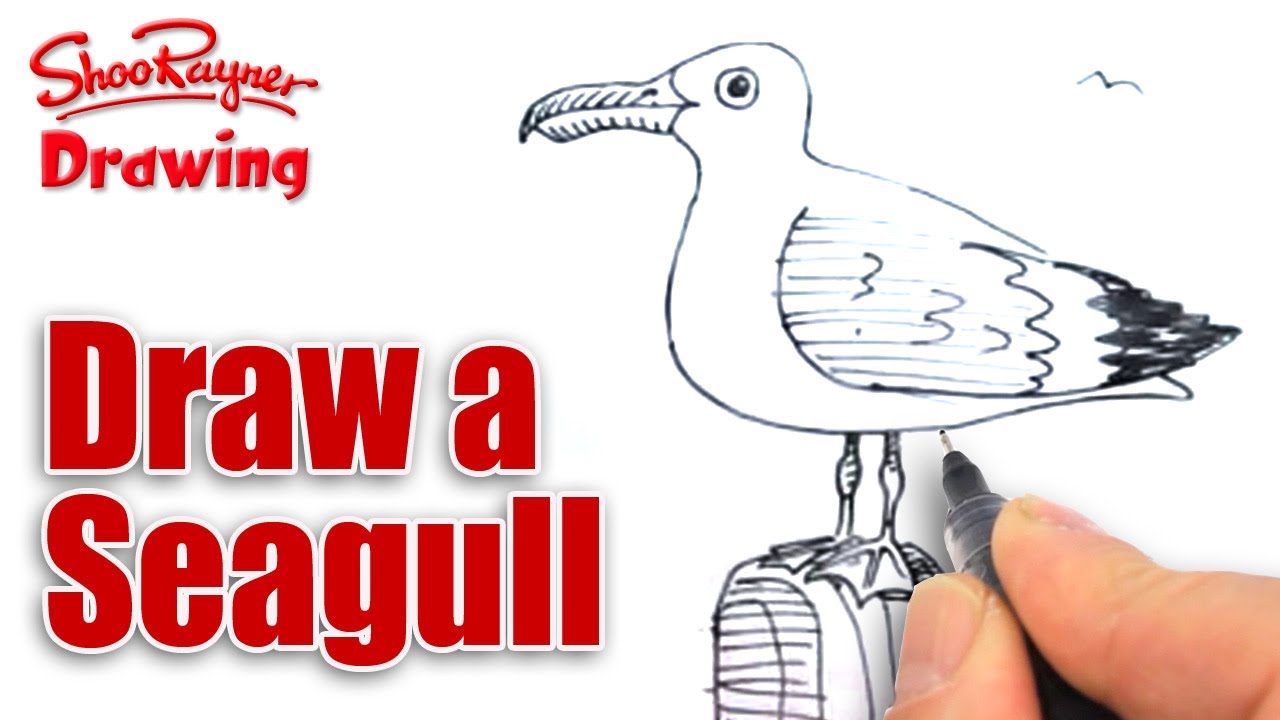 1280x720 copy of how to draw a seagull - Seagull Drawing