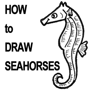 300x300 How To Draw Seahorses With Step - Seahorse Cartoon Drawing