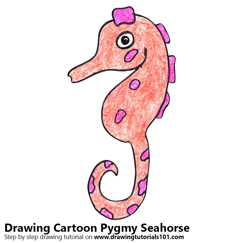 800x800 learn how to draw a cartoon pygmy seahorse - Seahorse Cartoon Drawing