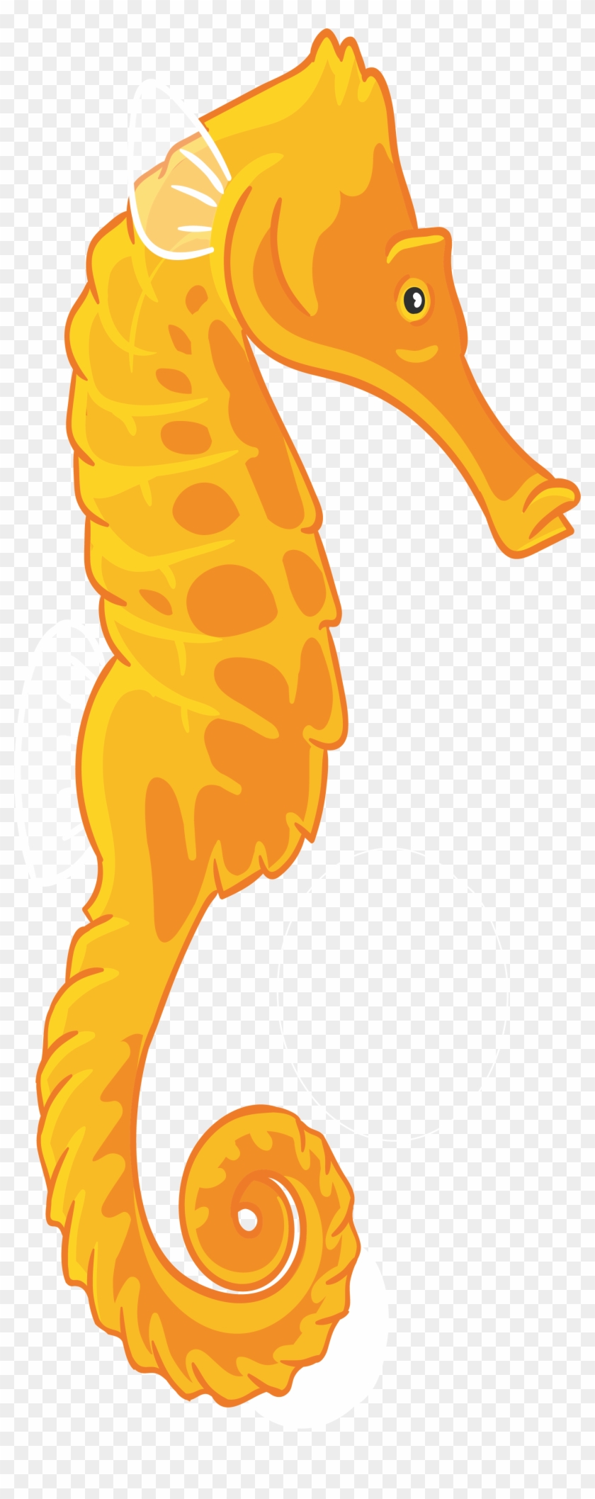 840x2115 seahorse cartoon drawing illustration - Seahorse Cartoon Drawing