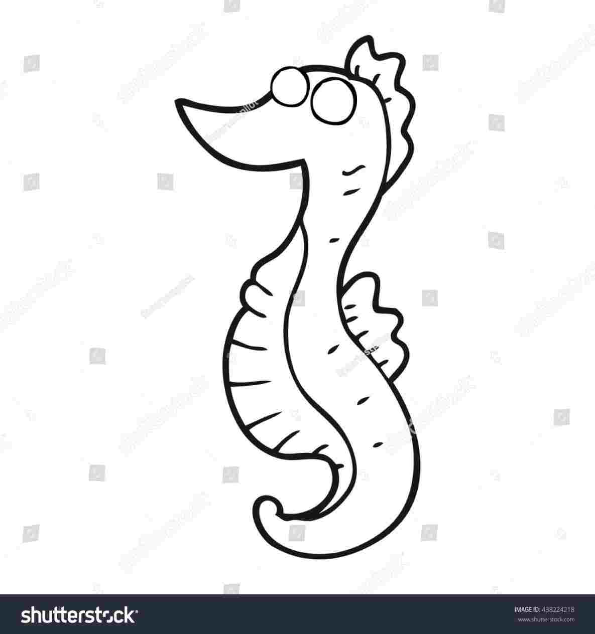 1185x1264 seahorse cartoon drawing to draw a cartoon seahorse - Seahorse Cartoon Drawing