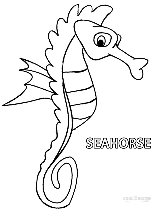 627x850 seahorse cartoon drawing - Seahorse Cartoon Drawing