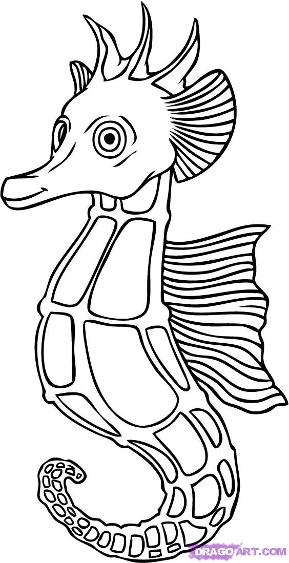 564x1099 seahorse drawing cartoon for free download - Seahorse Cartoon Drawing