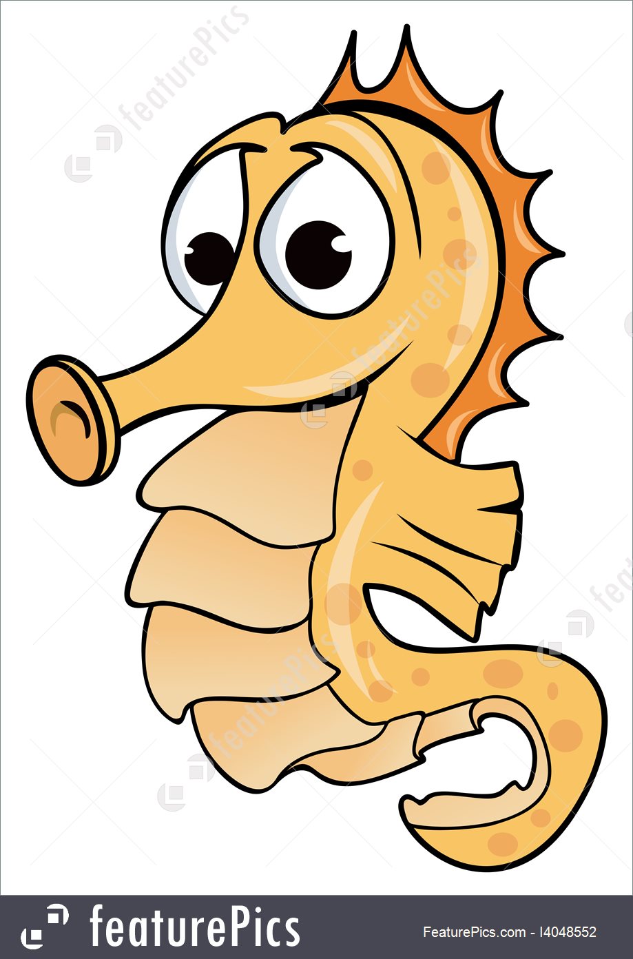 919x1392 aquatic wildlife seahorse drawing - Seahorse Cartoon Drawing