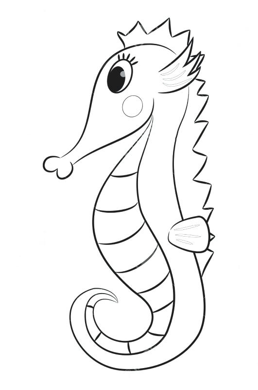 Seahorse Cartoon Drawing At Paintingvalley.com 