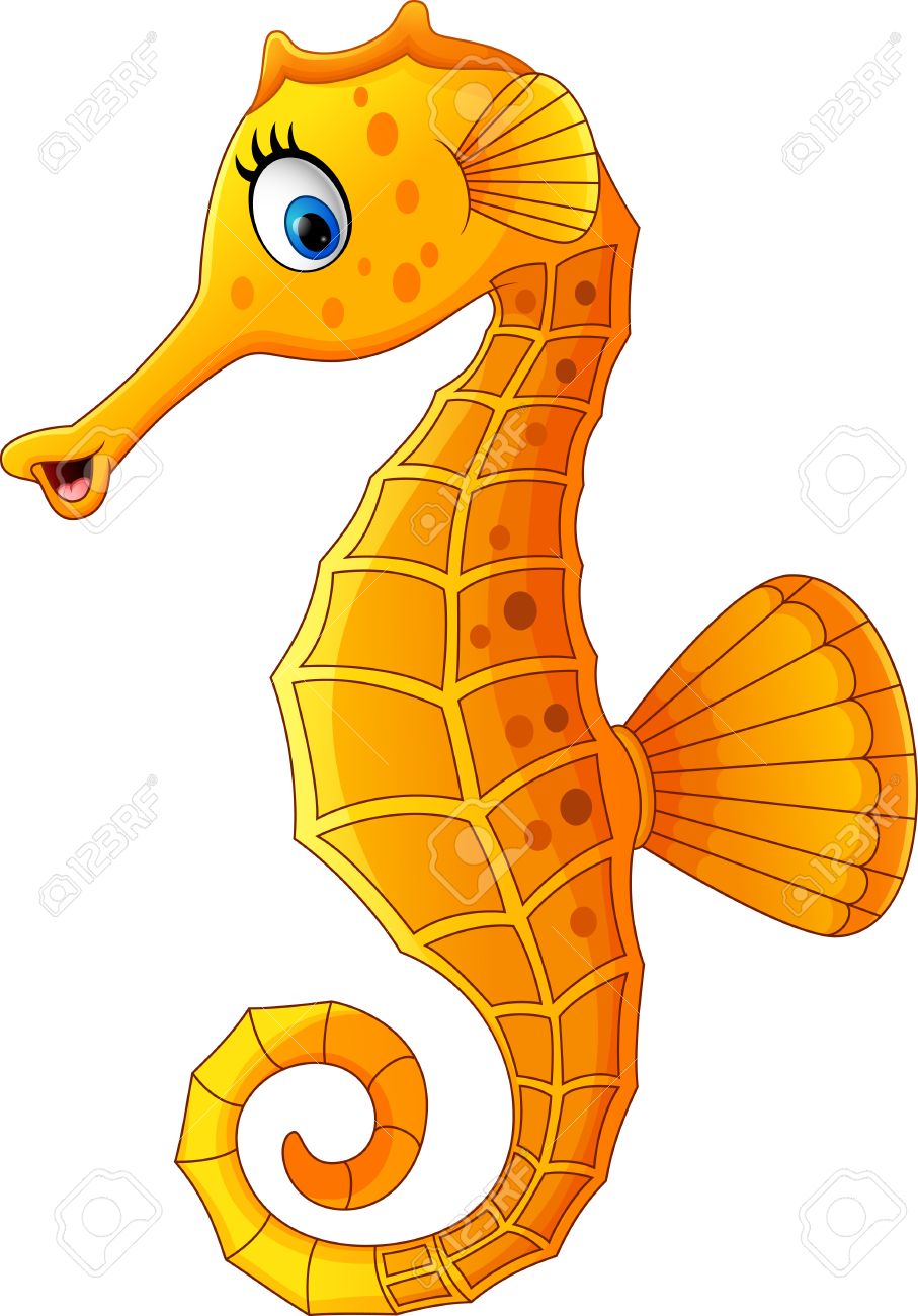 907x1300 cartoon seahorse step - Seahorse Cartoon Drawing