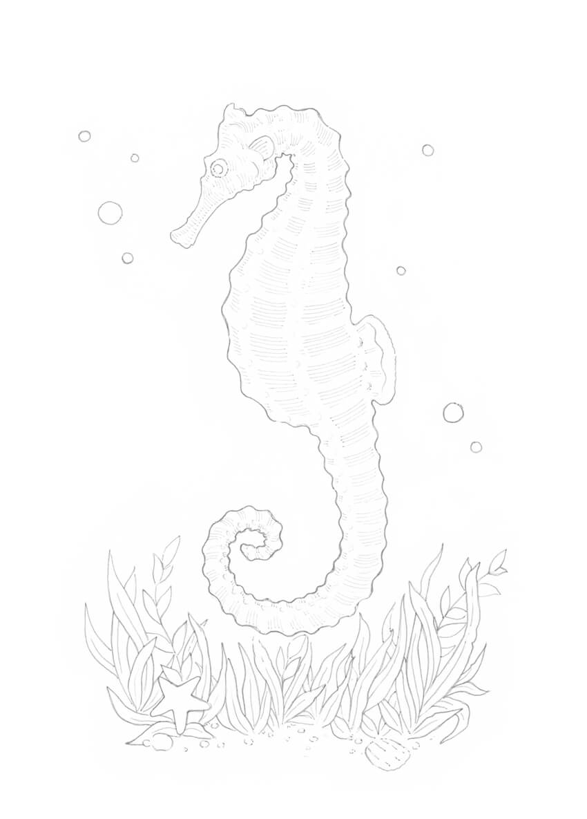 850x1185 how to draw a seahorse with black and grey ink liners - Seahorse Drawing