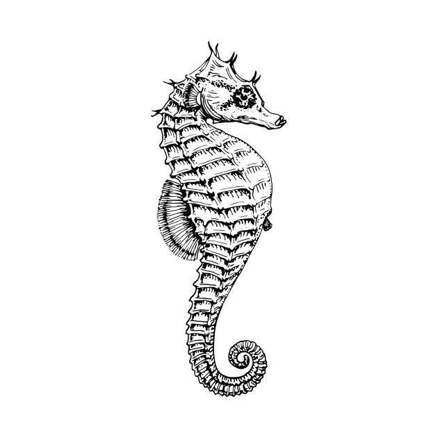 630x630 Seahorse - Seahorse Drawing