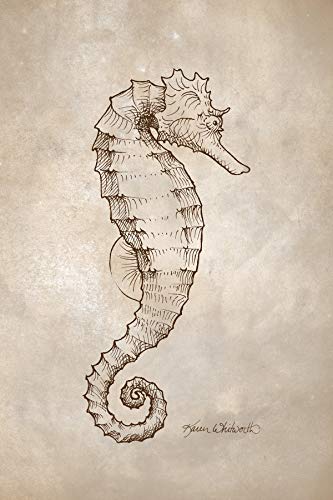 Seahorse Drawing at PaintingValley.com | Explore collection of Seahorse ...