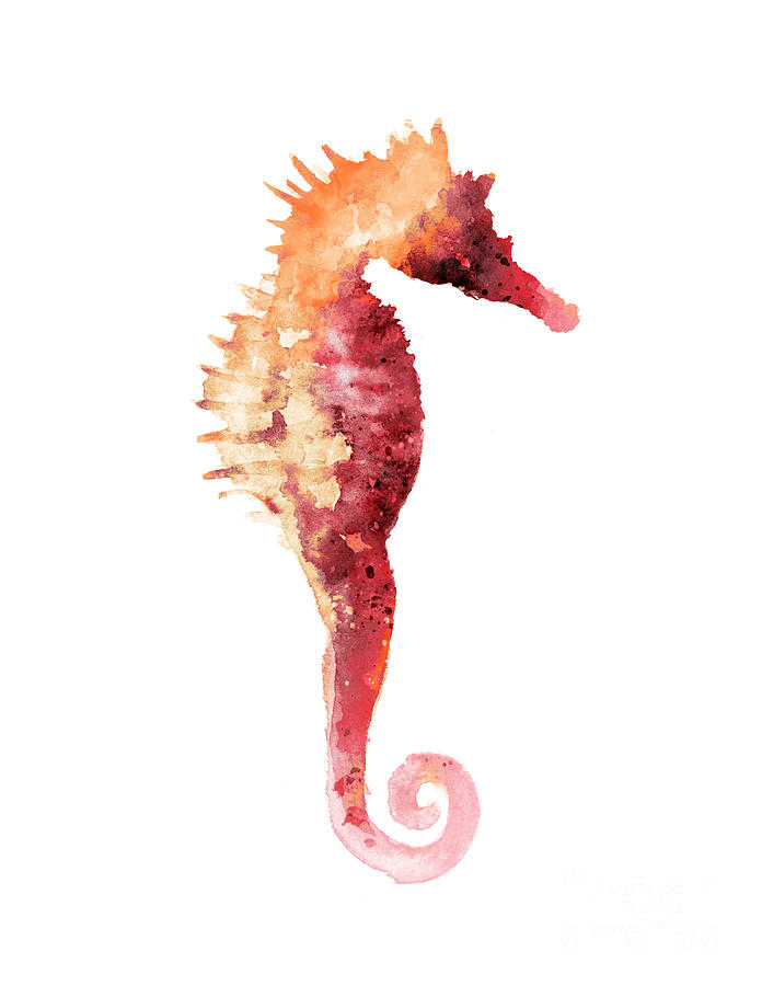 696x900 seahorse drawing minimalist painting painting - Seahorse Drawing