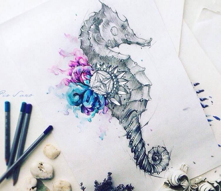 750x650 Seahorse Drawing - Seahorse Drawing