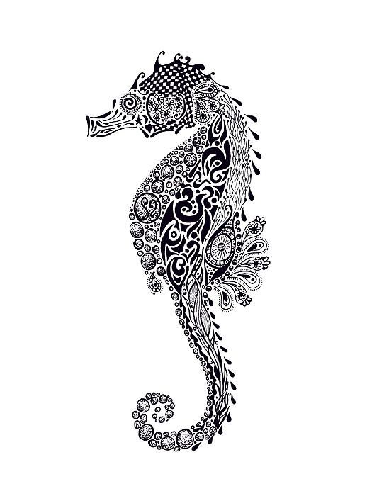 518x700 Seahorse Drawing Free Download - Seahorse Drawing