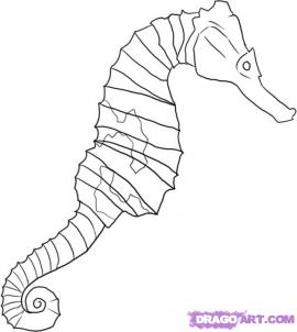 270x302 How To Draw Seahorses Drawing Tutorials Drawing How To Draw - Seahorse Drawing Easy