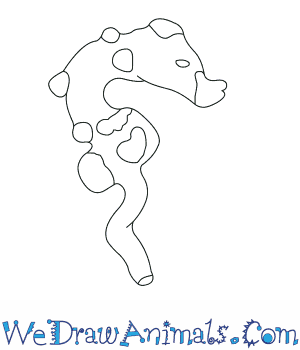300x350 How To Draw A Pygmy Seahorse - Seahorse Drawing Easy