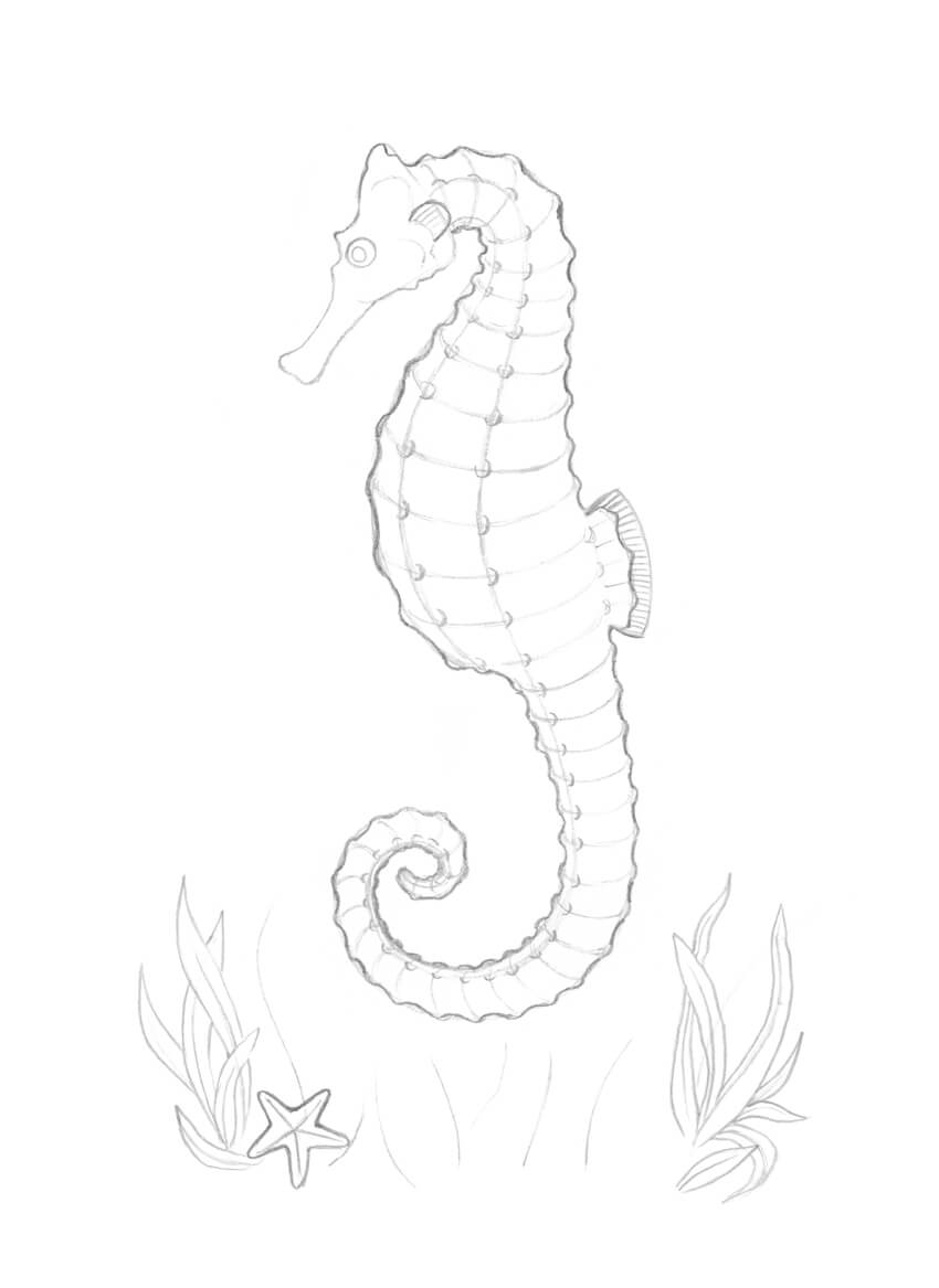 850x1167 How To Draw A Seahorse With Black And Grey Ink Liners - Seahorse Drawing Easy