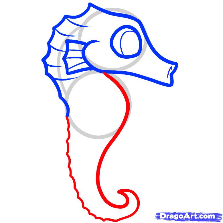 779x779 How To Draw A Seahorse For Kids, Step - Seahorse Drawing Easy