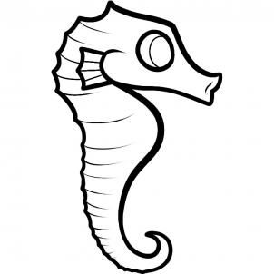 302x302 How To Draw A Seahorse For Kids - Seahorse Drawing Easy