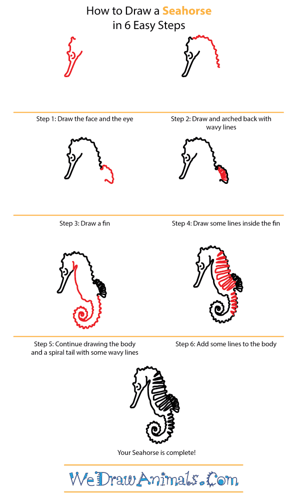 600x992 How To Draw A Seahorse - Seahorse Drawing Easy