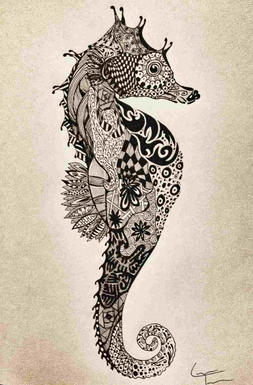 1003x1526 Sea Horse Drawing Easy - Seahorse Drawing Easy