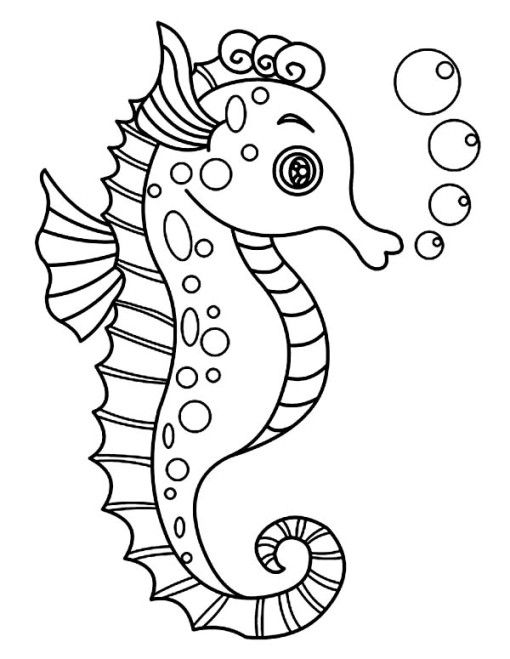 510x659 Seahorse Drawing Free Download - Seahorse Drawing For Kids