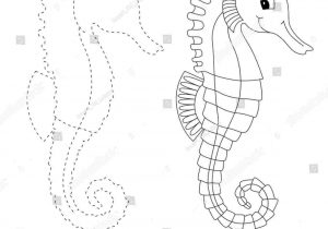 300x210 How Seahorse Drawing For Kids To Draw A Seahorses - Seahorse Drawing For Kids