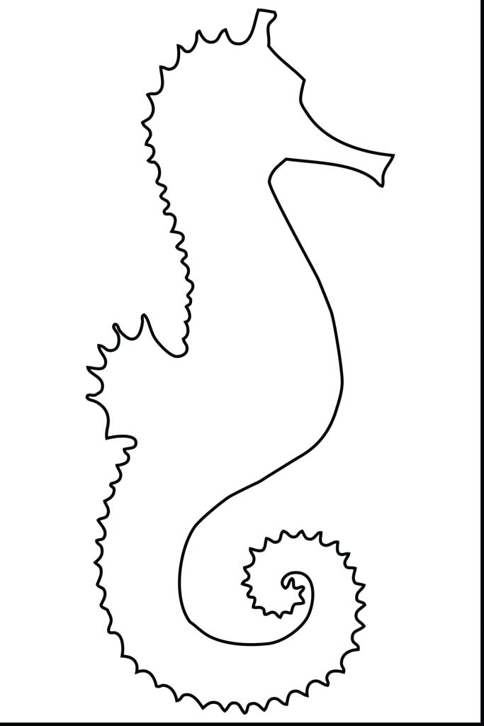 Seahorse Drawing Outline at PaintingValley.com | Explore collection of ...