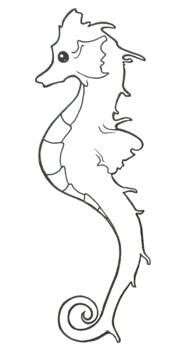 636x1171 Outline Of Seahorse Vinyl Stickers, Sticker H = W - Seahorse Drawing Outline