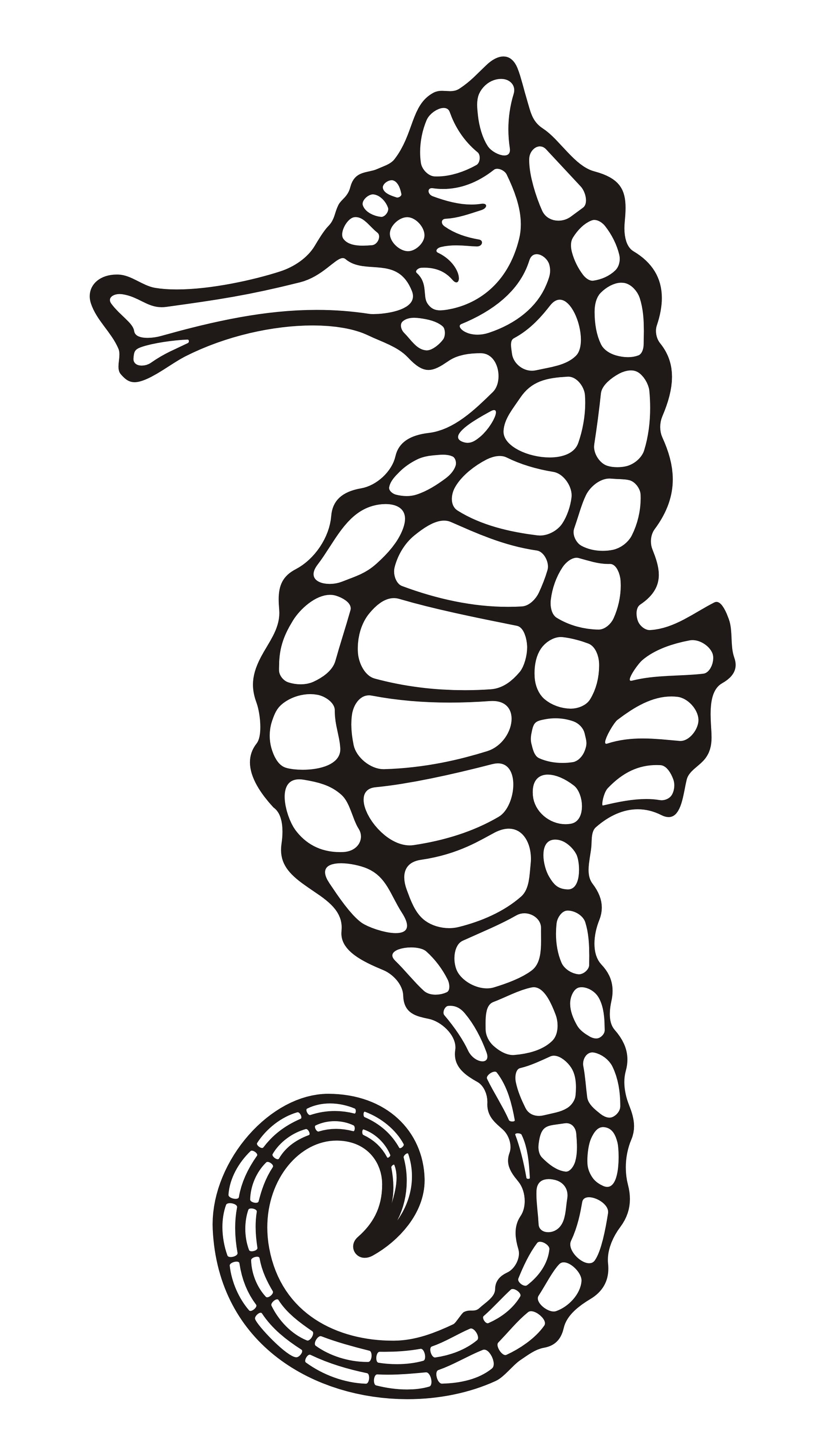 2000x3528 Seahorse Drawing - Seahorse Drawing Outline