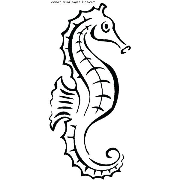 600x600 seahorse outline sea seahorse outline design - Seahorse Drawing Outline