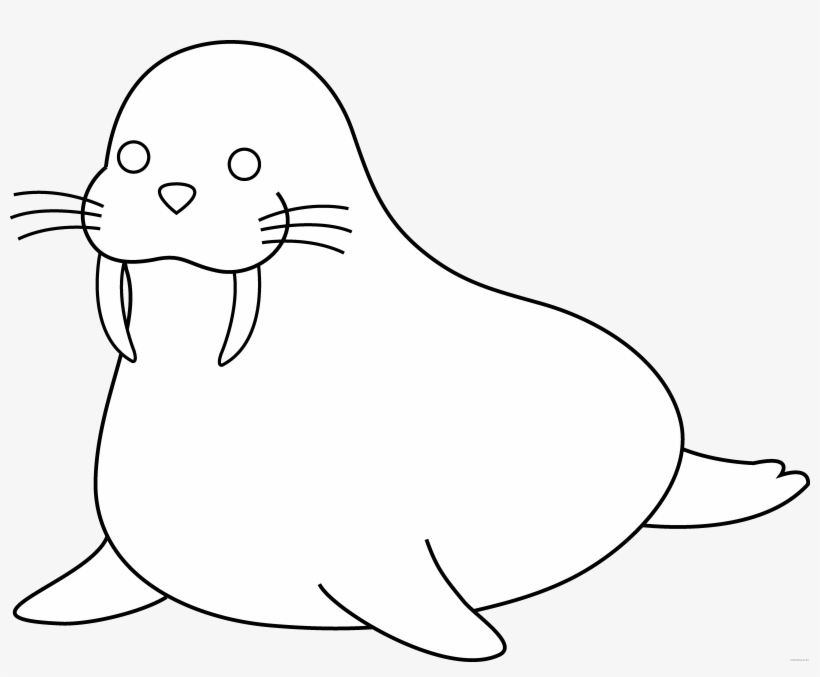 820x677 Seahorse Drawing Outline - Seahorse Drawing Outline