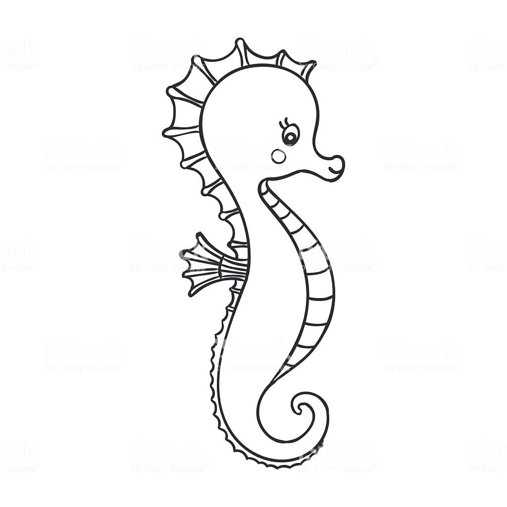 Seahorse Drawing Outline at PaintingValley.com | Explore collection of