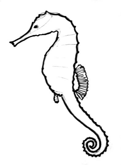 394x537 How To Draw A Sea Horse - Seahorse Line Drawing