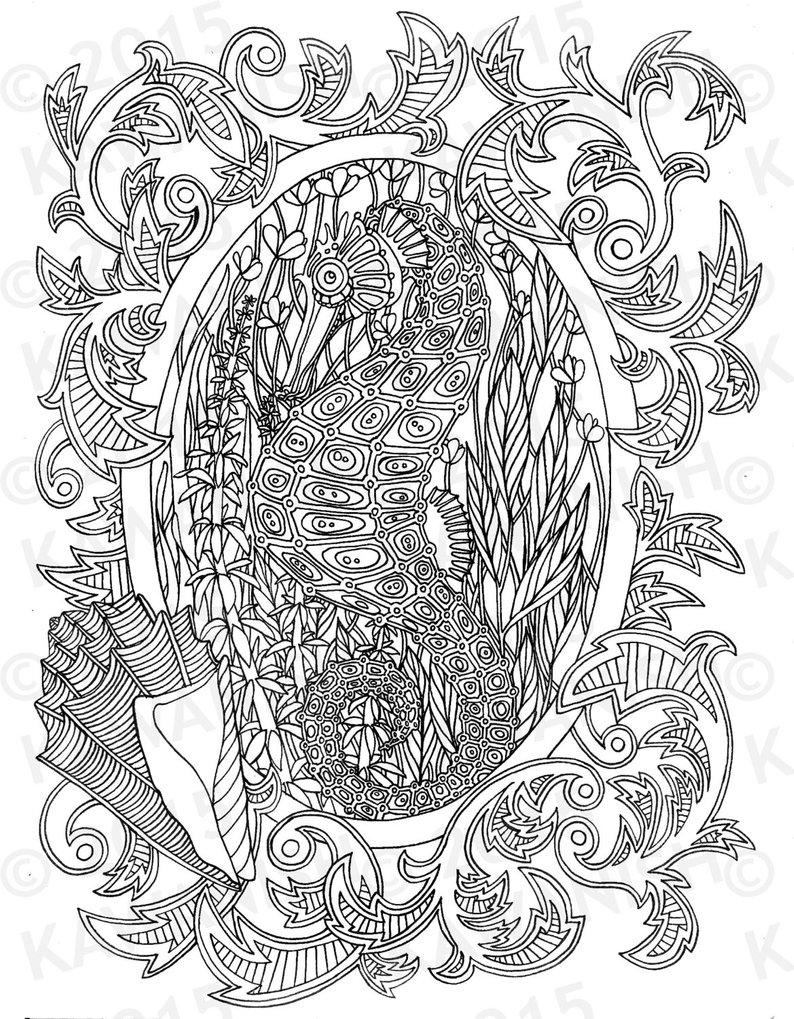 794x1019 Seahorse Underwater Adult Coloring - Seahorse Line Drawing