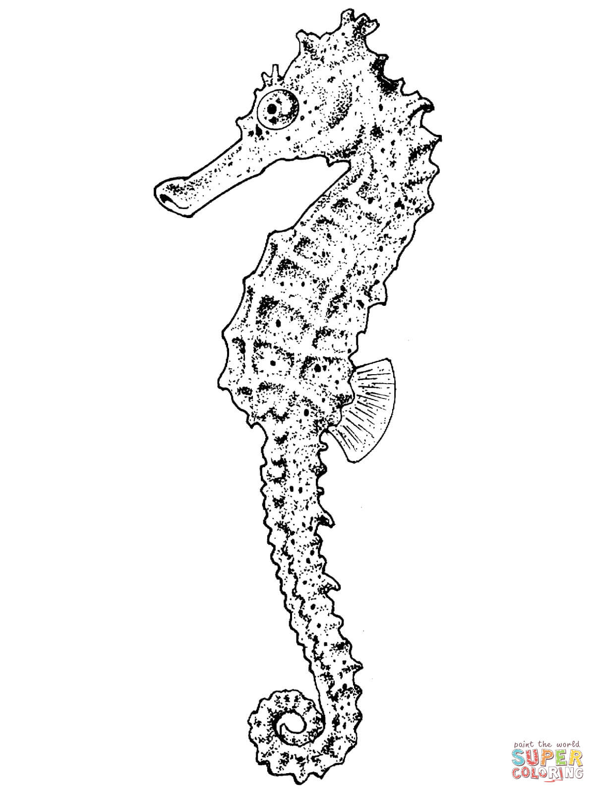 1200x1600 Simple Seahorse Pictures To Color Line Drawing - Seahorse Line Drawing