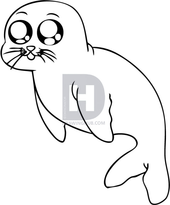 598x720 How To Draw A Cartoon Seal, Step - Seal Drawing
