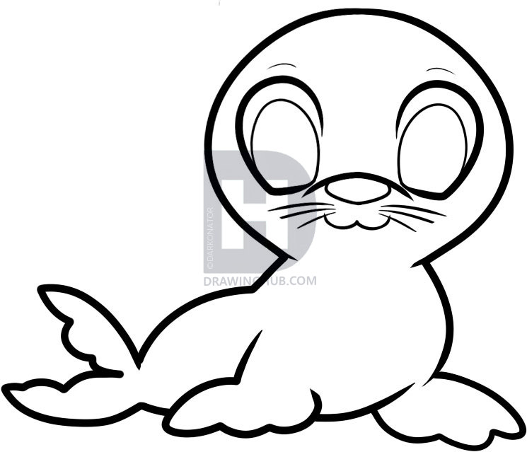 745x639 How To Draw A Seal For Kids, Step - Seal Drawing