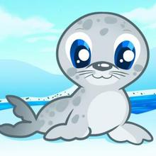 220x220 How To Draw How To Draw A Seal For Kids - Seal Drawing