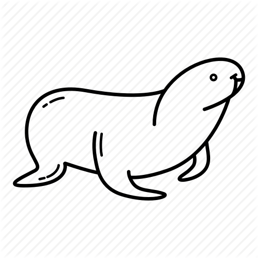 512x512 Collection Of Free Seal Drawing Sea Creature Download On Ui Ex - Seal Drawing