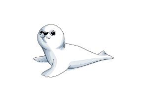 300x200 How To Draw A Baby Seal - Seal Drawing Step By Step