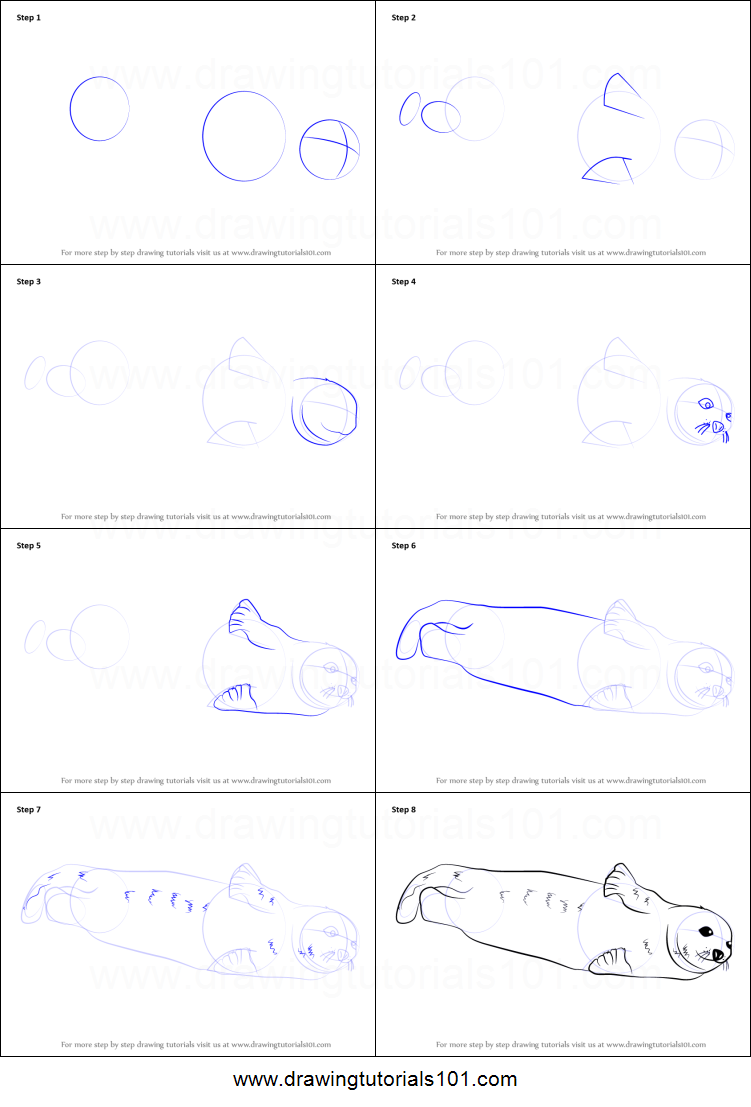 751x1107 How To Draw A Harp Seal Printable Step - Seal Drawing Step By Step