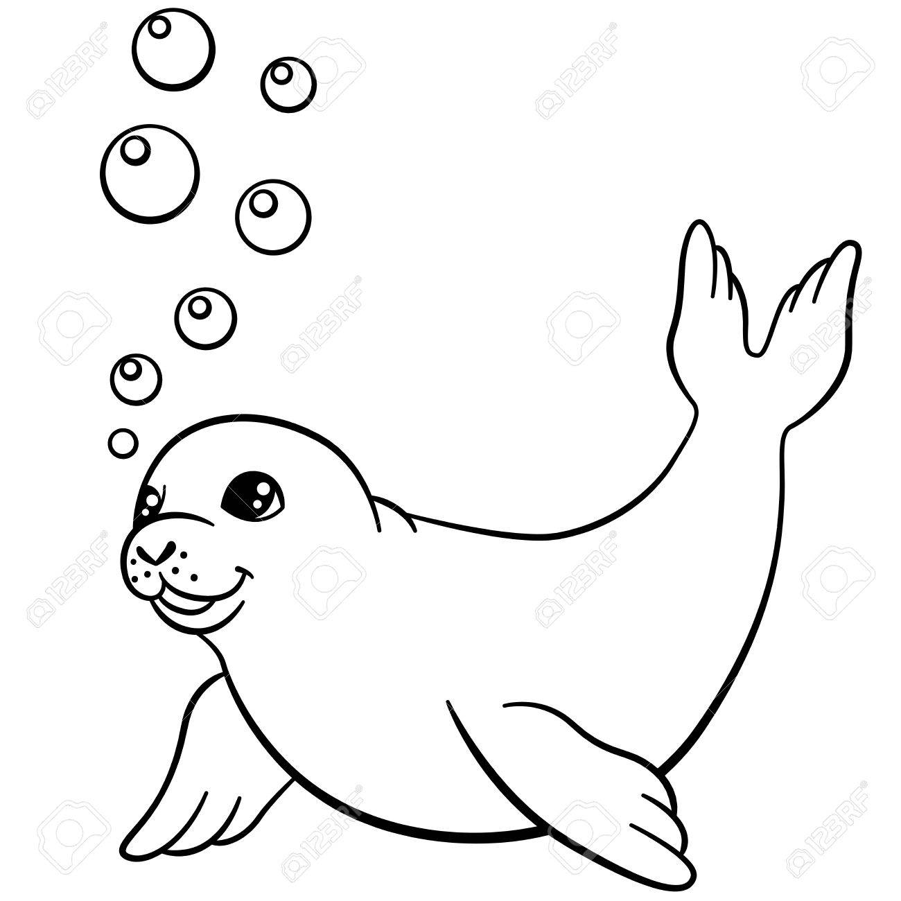 Seal Line Drawing at PaintingValley.com | Explore collection of Seal ...