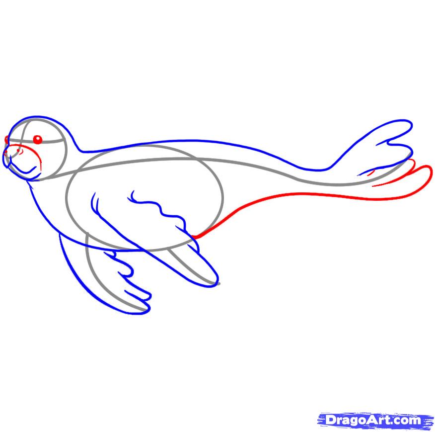 876x869 How To Draw A Seal, Step - Seal Line Drawing