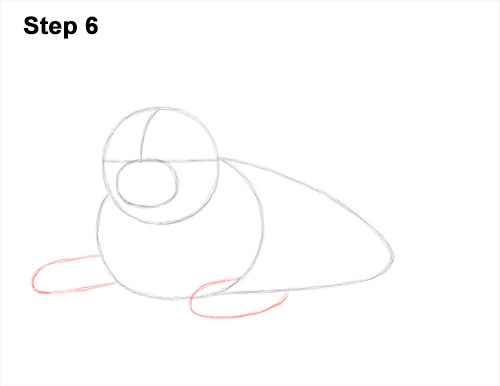 500x386 how to draw a seal pup - Seal Line Drawing