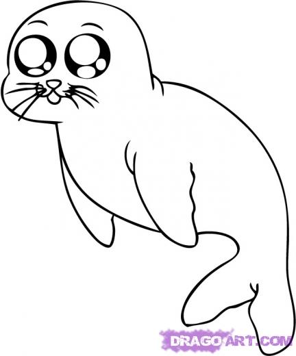 432x520 Learn How To Draw A Cartoon Seal, Cartoon Animals, Animals, Free - Seal Line Drawing