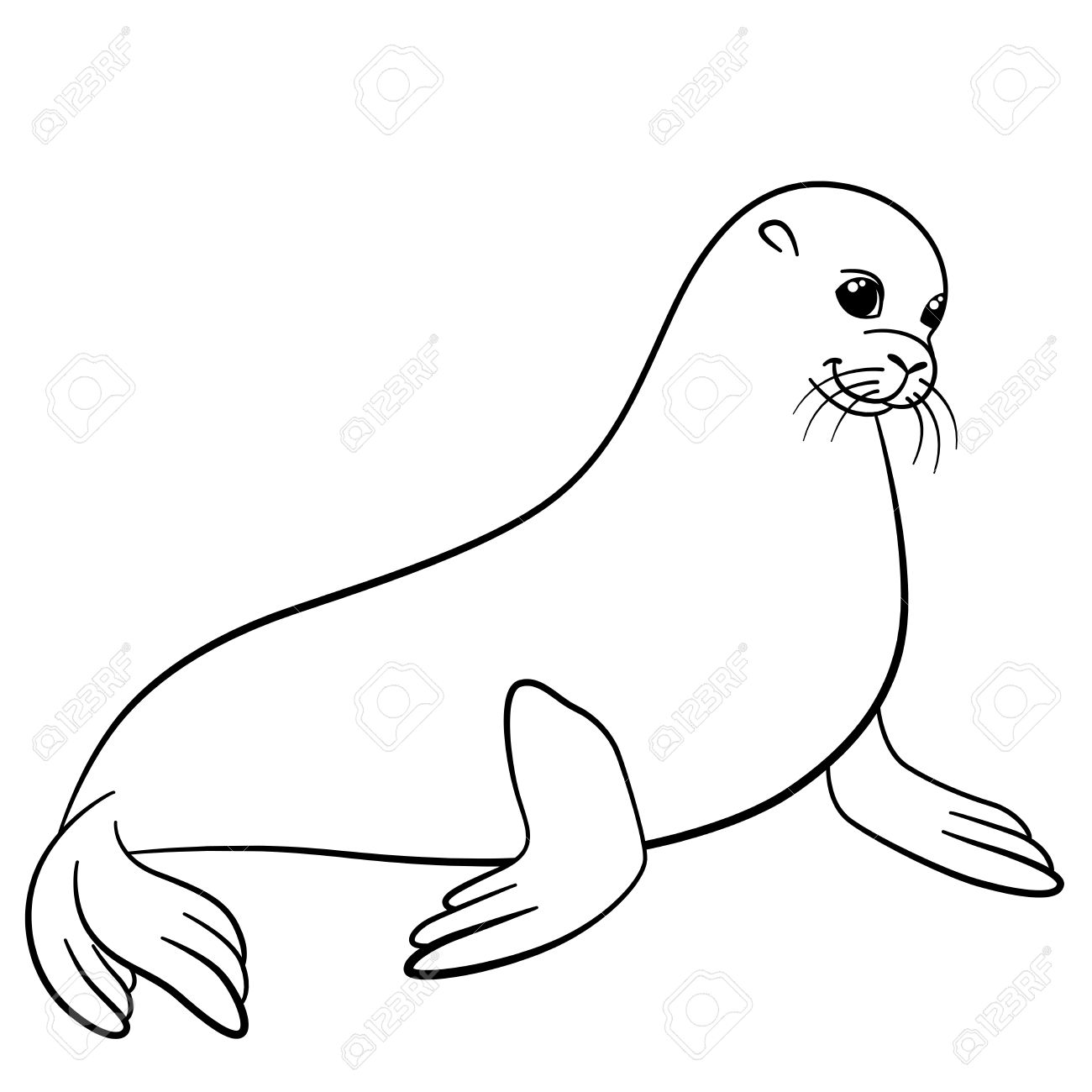 Seal Line Drawing at Explore collection of Seal